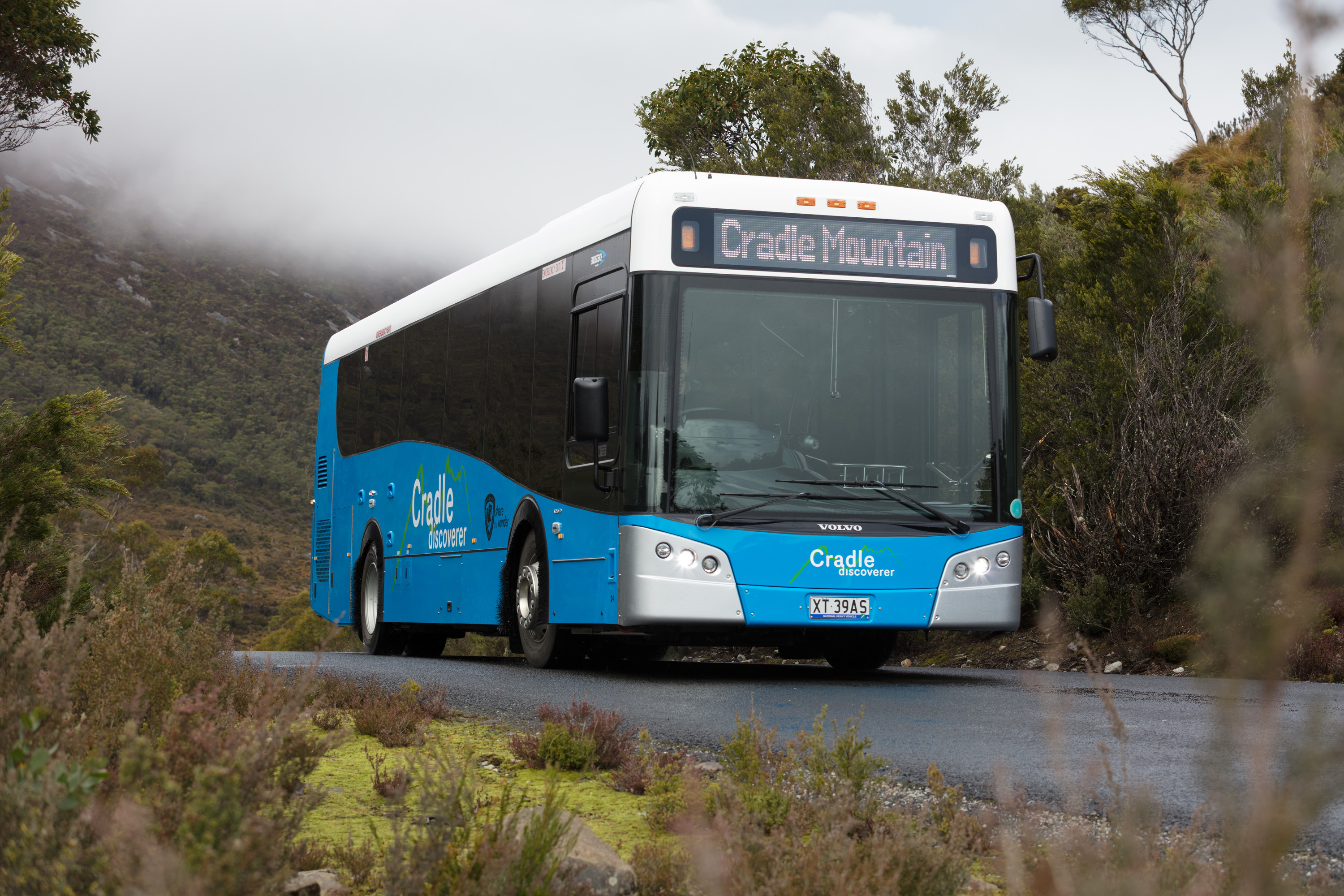 Bus M60 - 5jdkxpy